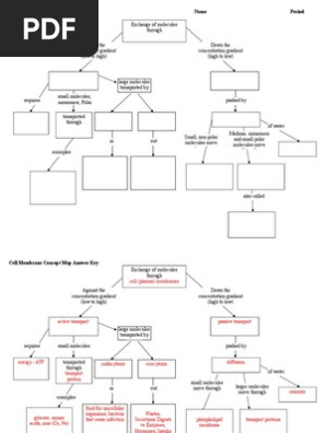 cell transport concept map worksheet answers Cell Membrane Concept Map Cell Membrane Cell Biology cell transport concept map worksheet answers