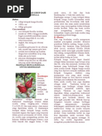 Download Cara Pembuatan Sirup Dari Bunga Rosella by Fauziyah Nofiyanti SN252603217 doc pdf