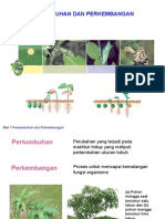 Biologi Pertumbuhan Dan Perkembangan