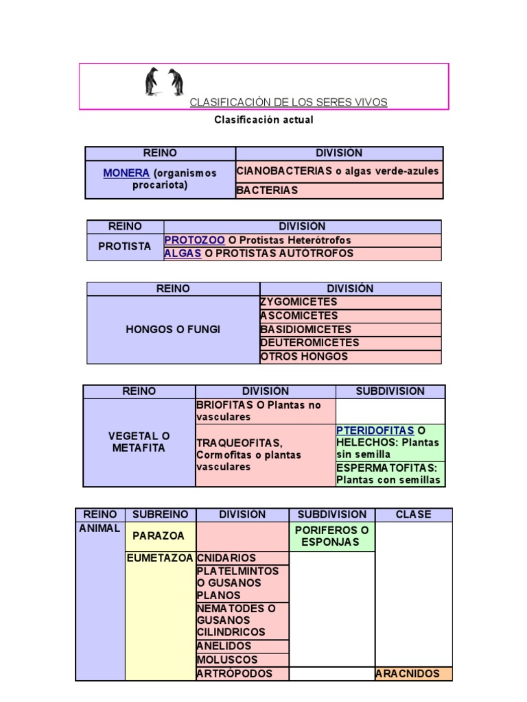 Clasificación de Los Seres Vivos | PDF | Plantas | Taxa