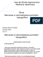 Marcarea Si Semnalizarea Punctelor Topografice