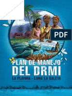 Playona Web 