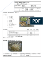 THERMO CHEF 樣機食材效果測試 -客家小炒 PDF