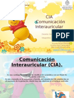 Cia Final