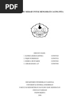 Download Biji Labu Merah Untuk Mengobati Cacing Pita by hoirul22121842 SN25263857 doc pdf