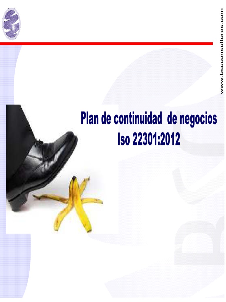 Plan de Continuidad del Negocio: Guía Esencial | PDF | Riesgo | Evaluación