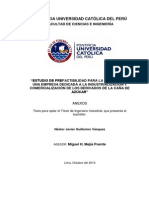 Guillermo Nestor Estudio Prefactibilidad Industrializacion Comercializacion Derivados Caña Azucar Anexos