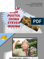 Steve Irwin's last adventure