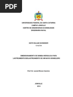 Dimensionamento de Bomba Hidráulica para Lastreamento/Deslastreamento de um Navio Graneleiro