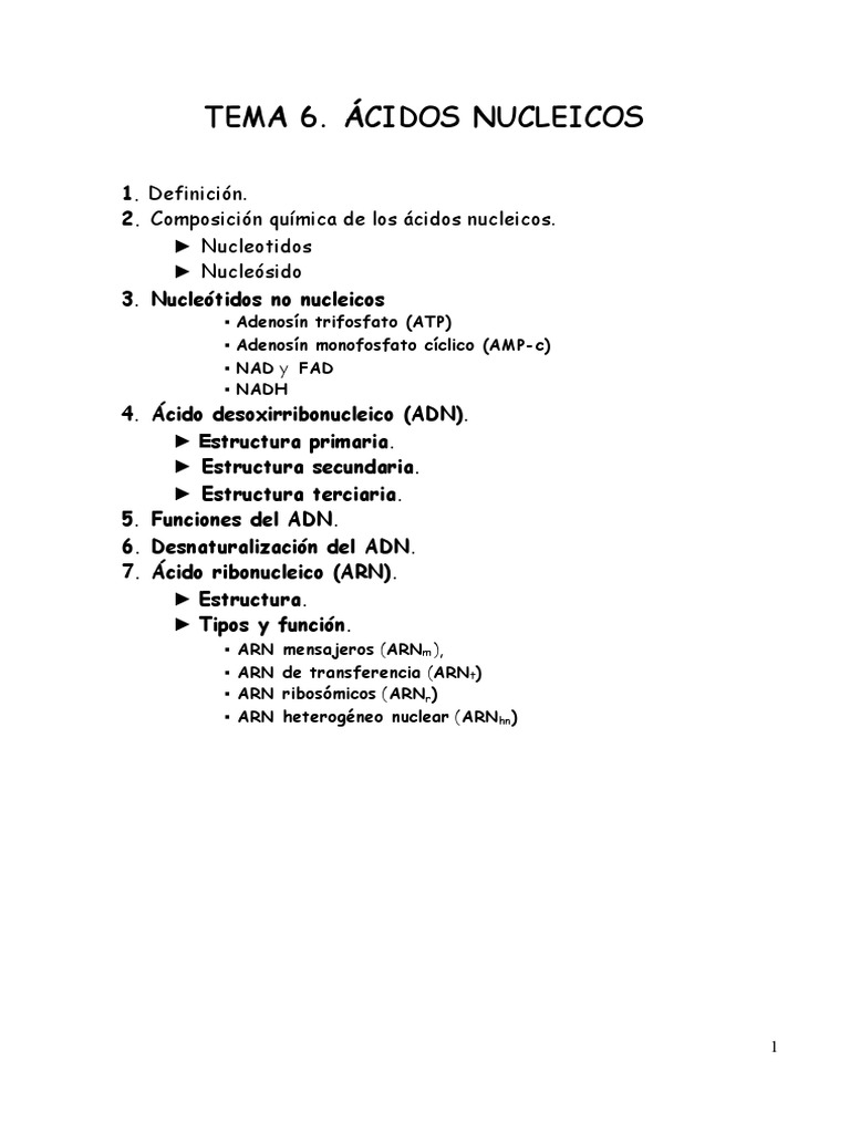 T 6 Ac Nucleicos | PDF | Rna | Adn