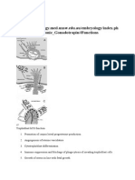 Functions P/human - Chorionic - Gonadotropin#Functions