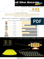 Bees Inforgraphic