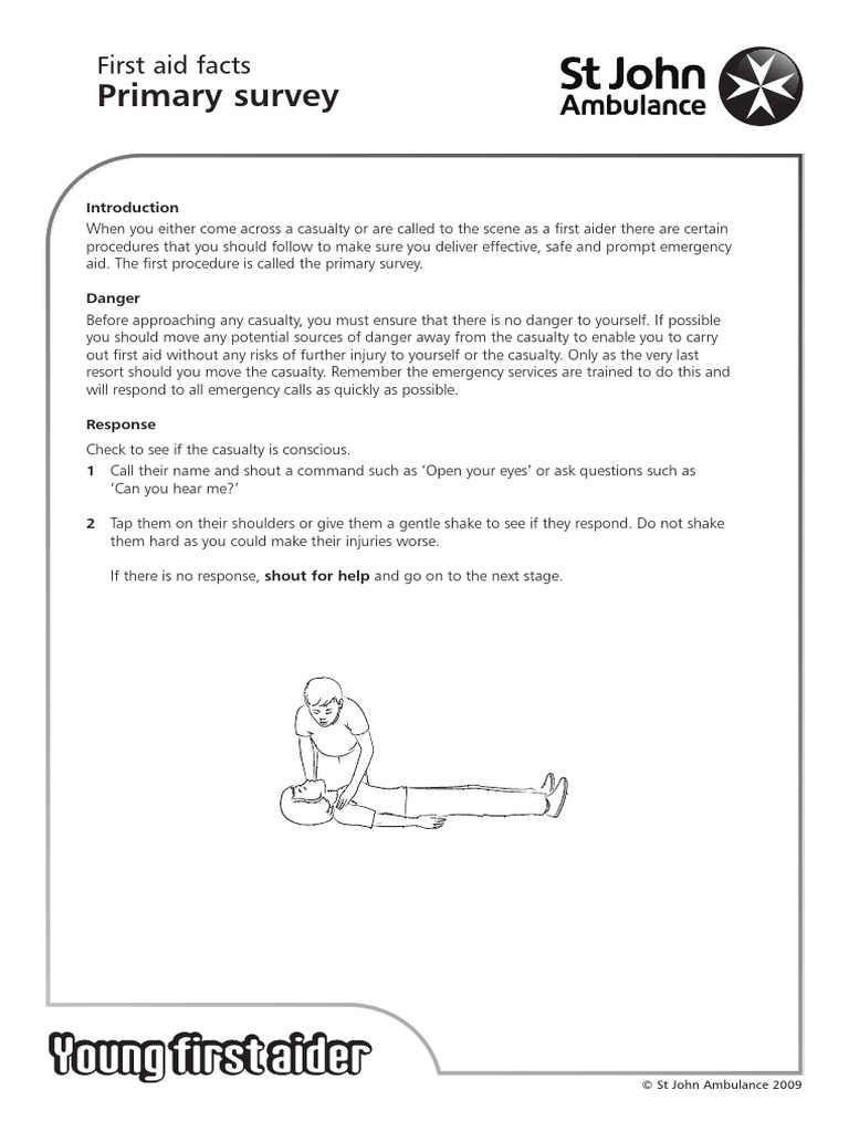 Sja Yfa Primary Survey First Aid Facts | PDF | First Aid ...