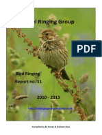 IRG Report 2010-2013