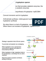 trp-operon4798-130520090441-phpapp01