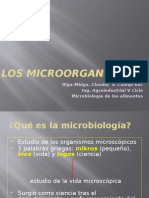 Los microorganismos: estudio de lo microscópico