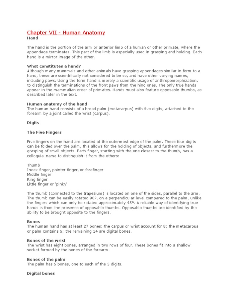 Chapter VII - Human Anatomy | PDF | Finger | Hand