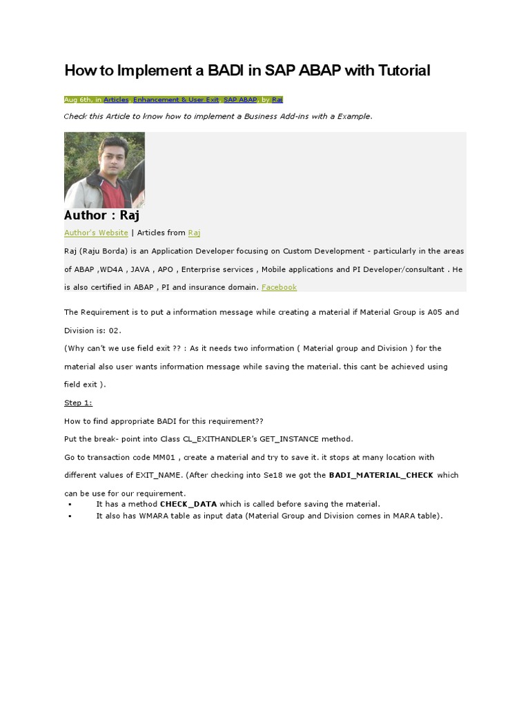 Badi Example PDF Digital Technology Computer Programming