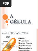 A Célula(aula).ppt