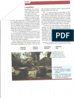 Arqueologos Trabalhando PDF