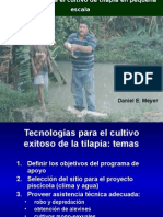 Producción de Tilapia