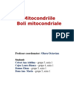 208520953-Mitocondriile.doc