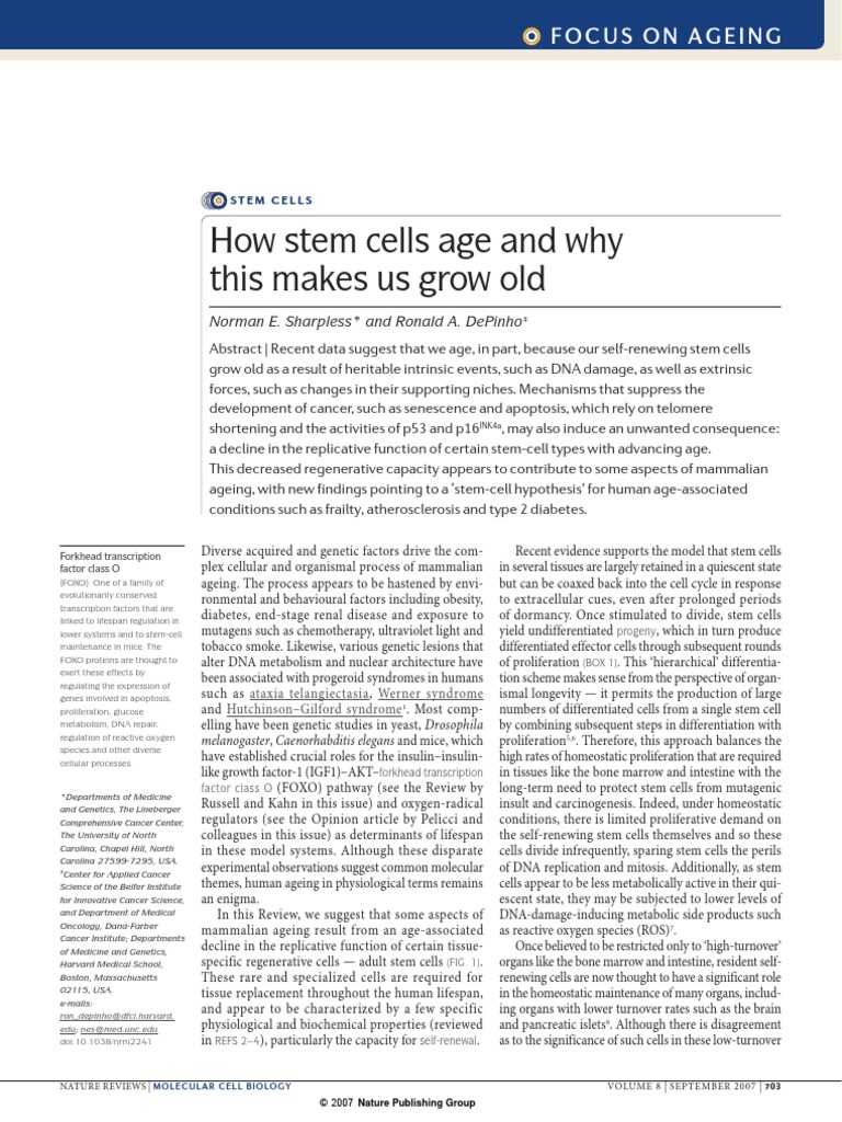 Stem Cells and Mammalian Ageing Factors | PDF