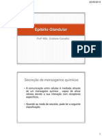 Epitelio Glandular2013 PDF