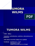 Tumora Wilms chir ped