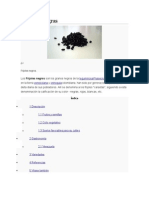 Caraotas negras: leguminosa clave en la dieta de América y Africa