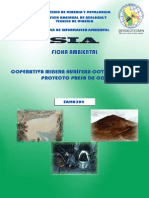 Ficha Ambiental Colas PDF