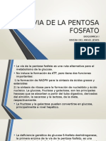 Vía pentosa fosfato genera NADPH