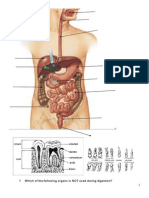 1 Which of The Following Organs Is NOT Used During Digestion?