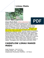 Cashflow Limau Madu PDF