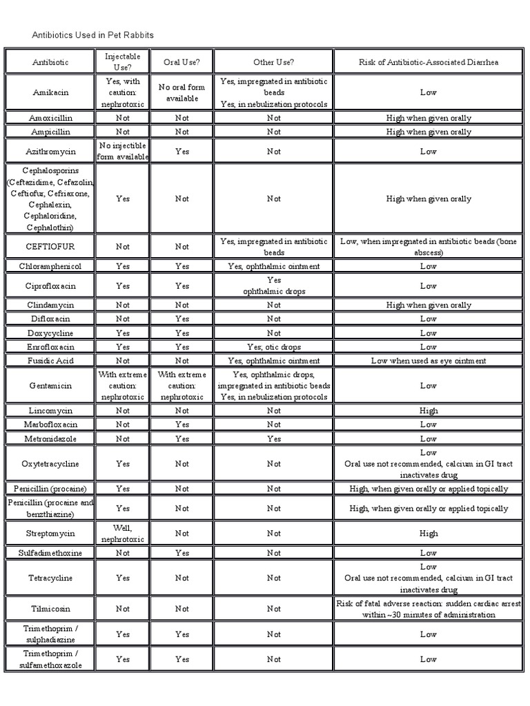 Antibiotics Guide for Rabbit Owners | PDF