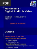 Multimedia - Digital Audio & Video