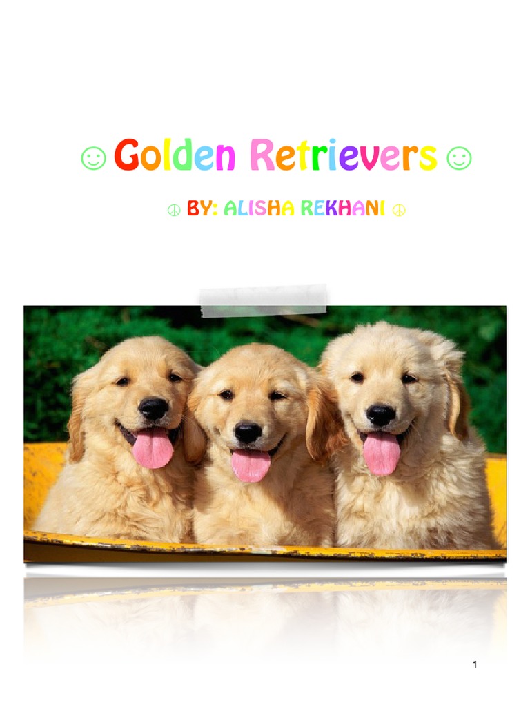 Expert Book Alisha Pdf Golden Retriever Fur