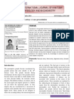 Volume 1 Issue 3 Page 13-15 Variation in the Testicular Artery a Case Presentation