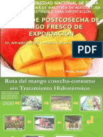 Manejo postcosecha mango exportación