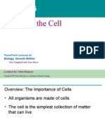 06- Cell Text