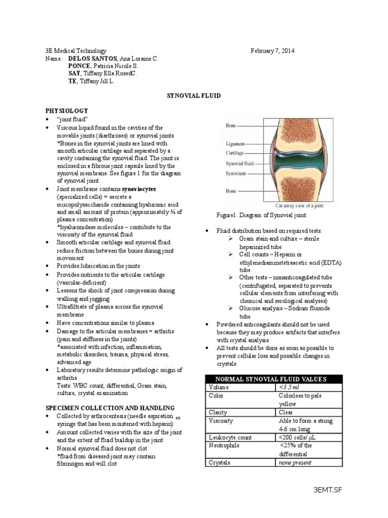 Synovial Fluid Gout Monocyte