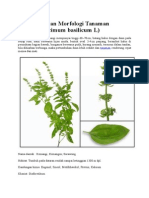 Download Klasifikasi Dan Morfologi Tanaman Kemangi by Kharnawi Rafi SN252821824 doc pdf
