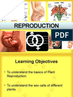 Plant Reproduction (1)