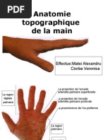 Anatomie et Fonction de la 1ère Commissure | PDF | Main | Appareil ...