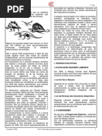 A Teoria Da Evolucao