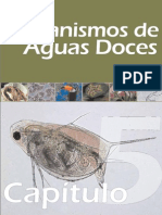 Biodiversidade dos principais grupos de invertebrados em águas doces brasileiras