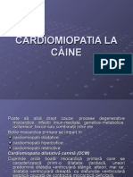 Cardiomiopatia La Câine