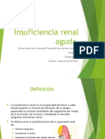 Insuficiencia Renal y Nefropatía Diabética Grupo 9 Subg 1