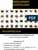 FOSILES Paleontologia