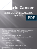 Gastric Cancer 2